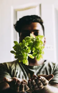 一名男子抓到绿色葡萄的照片