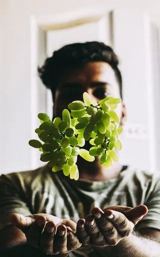 一名男子抓到绿色葡萄的照片