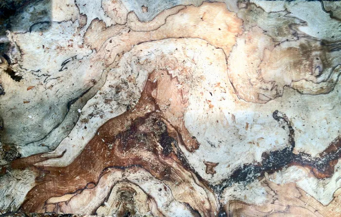 俄罗斯，托尔马乔沃，纹理，木材，全框架，岩石，岩石物体，固体