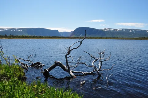 纽芬兰，峡湾，加拿大，自然，景观，水，户外，风景