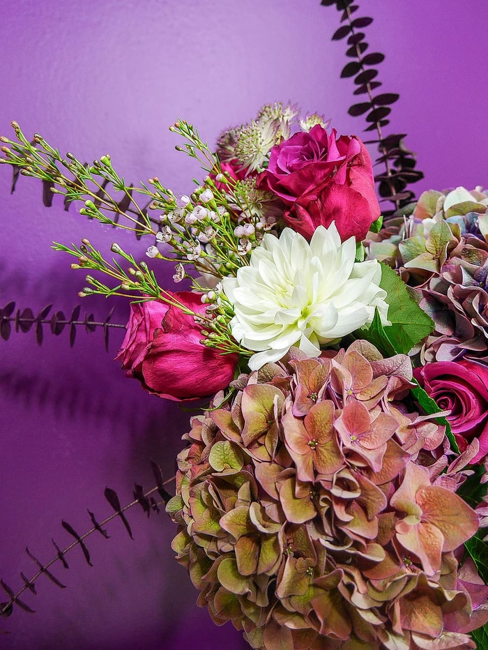 法国、巴黎、拐角处的克莱姆、潘通2018、紫外线、紫色、桉树、花束