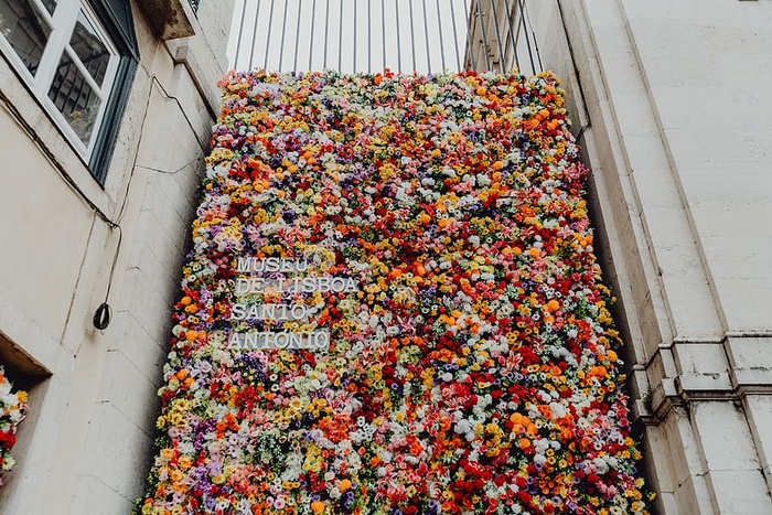 圣安东尼奥艺术节-各种颜色的花朵背景墙-葡萄牙里斯本里斯本博物馆