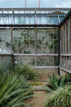 温室，植物，自然，花园，建筑，植物，建筑结构，白天