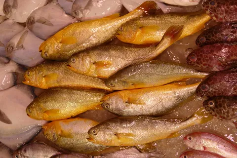 销售,业务,市场摊位,市场,销售,销售摊位,农民本地市场,食品 销售,业务,市场摊位,市场,销售,销售摊位,农民本地市场,食品