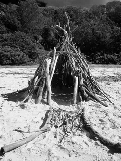 海边的树枝帐篷