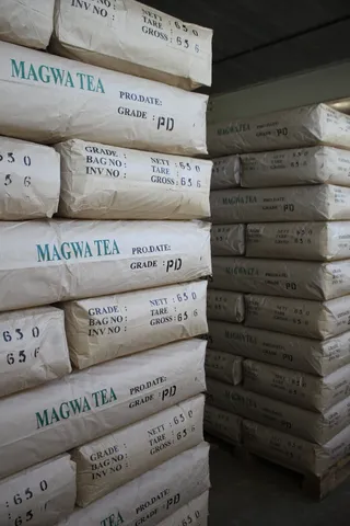 茶叶，仓库，堆叠，储存，茶包，堆叠，消费者，饮料