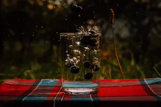 水，浆果，杯子，塌陷，玻璃材质，透明，玻璃，没有人