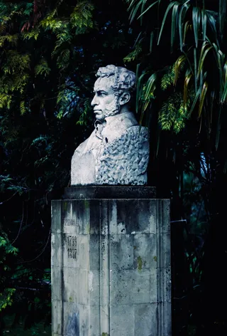 树旁的男子半身像