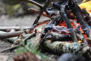 篝火特写，火，夏天，营地，营地，木头，营地，夏天，营地，木头