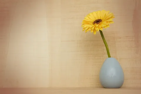 黄色,向日葵,灰色,陶瓷,花瓶,非洲菊花,自然,桌面 黄色,向日葵,灰色,陶瓷,花瓶,非洲菊花,自然,桌面