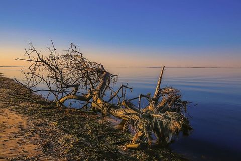 海滩旁的浮木，自然，风景，云朵，天空，水，海洋，海洋