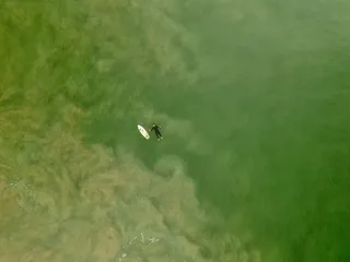 绿色，水，人，人，冲浪者，冲浪，冲浪，飞行