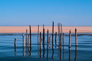 棕色, 木, 棒, 蓝色, 天空, 羊群, 白色, 海