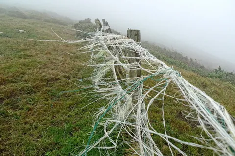 风、微风、栅栏、薄雾、风、流光、细绳、风景 风、微风、栅栏、薄雾、风、流光、细绳、风景