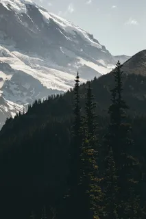满山积雪 满山积雪