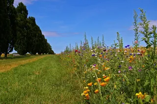 丹麦，Fyn，Island，Gateway，Fyn Island，lane，trail，散步