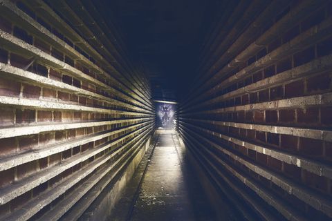 失去的地方，砖厂，工厂，工业，失效，砖，旧，废墟