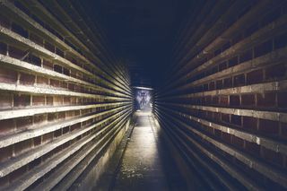 失去的地方，砖厂，工厂，工业，失效，砖，旧，废墟