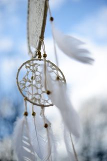 追梦人, 追梦人, 文化, 印度, 梦想, 羽毛, 精神, 灵性