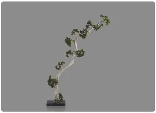 花，作品，欣赏，插图，矢量，树，自然，植物