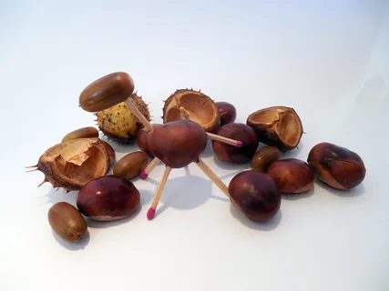 修补匠，自己动手，修补匠，爱好，手工艺品，自然，栗子，橡子