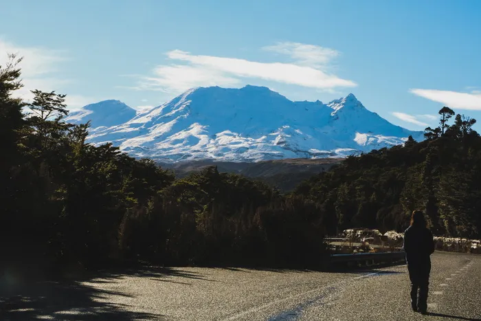 新西兰，ruapehu，road，forrest，人，女性，女性，环境