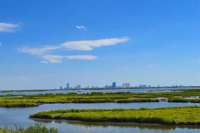 沼泽地、河口、水、草、阳光、自然、沼泽、绿色