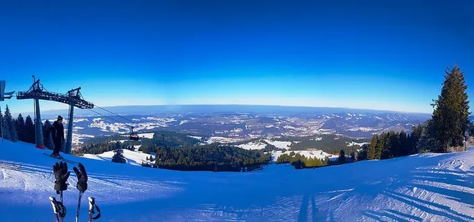 雪，树，森林，冬天，滑雪，滑雪，滑雪板，白色