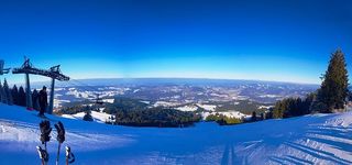 雪，树，森林，冬天，滑雪，滑雪，滑雪板，白色