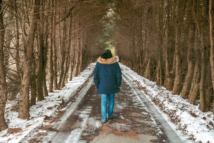 树，雪，毛皮，兜帽，人，男人，男人，走路