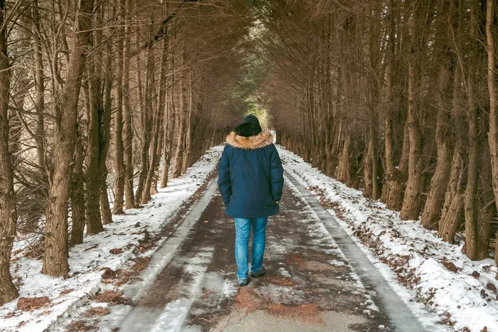 树，雪，毛皮，兜帽，人，男人，男人，走路