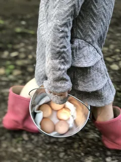 美国，普拉特城，14690莱帕德，秋天，秋天，自然，外面，女孩