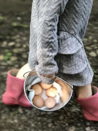 美国，普拉特城，14690莱帕德，秋天，秋天，自然，外面，女孩