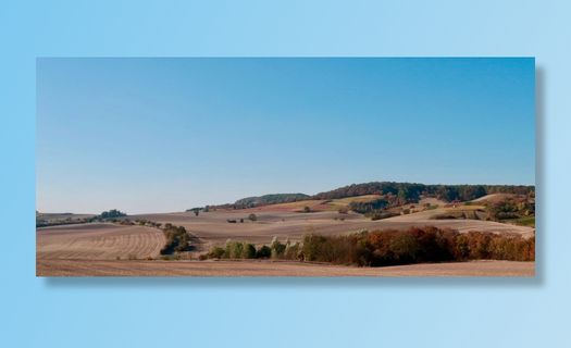 景观、农业、秋季、丘陵、葡萄园、耕地、田地、树木