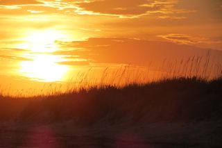 日落，日出，漂白，海滩，海滩日落，日出海滩，剪影，黄色天空