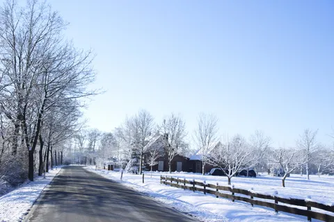 冬天,雪,冷,树,霜冻,冰冻,自然,天气 冬天,雪,冷,树,霜冻,冰冻,自然,天气