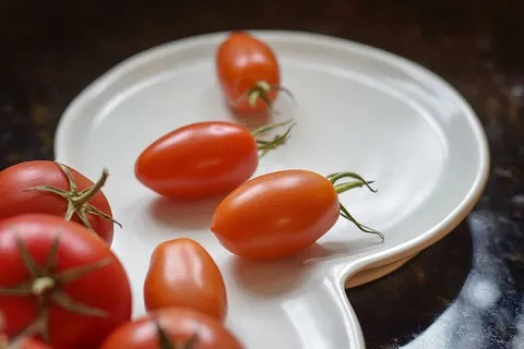 美国,番茄,花园,新鲜,新鲜采摘,藤蔓,有机,食品 美国,番茄,花园,新鲜,新鲜采摘,藤蔓,有机,食品
