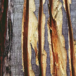 背景，木，木结构，旧，结构，性质，图案，纹理