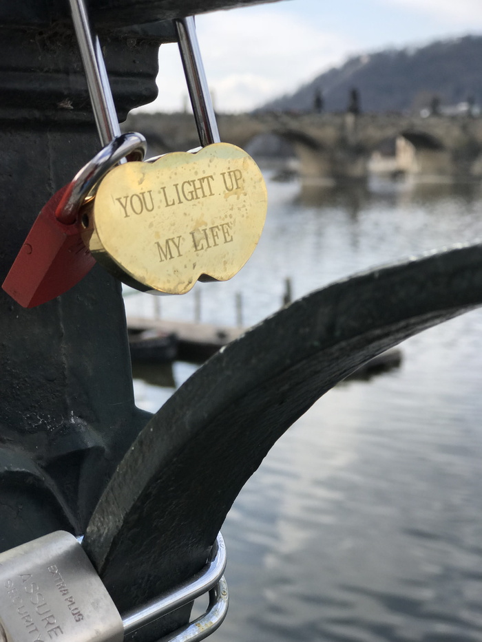 lock，hlavníměsto praha，czechia，alšovo nábř。83/4，鸟，动物，灯，吊坠