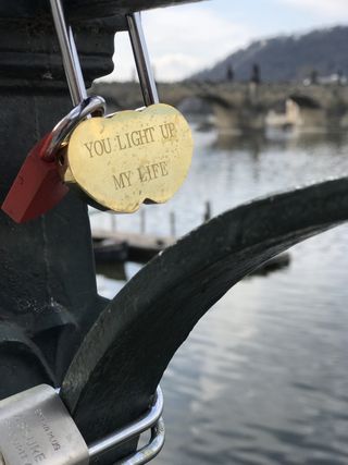 lock，hlavníměsto praha，czechia，alšovo nábř。83/4，鸟，动物，灯，吊坠
