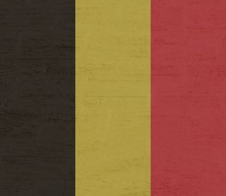 国旗，比利时，黄色，建筑结构，墙壁建筑特征，没有人，建筑，全框架