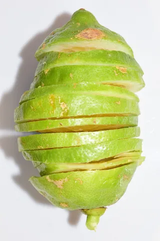 柠檬、柠檬片、酸味、点心、黄色、水果、弗里希、柑橘类水果