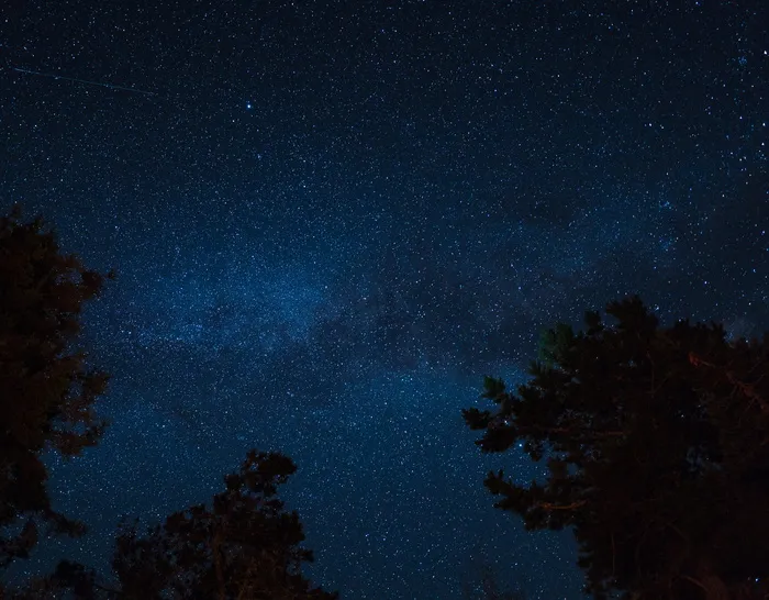 美国，海洋牧场，天空，星星，天体摄影，长曝光，树木，星星空间