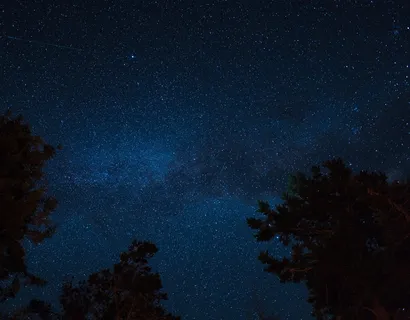 美国,海洋牧场,天空,星星,天体摄影,长曝光,树木,星星空间 美国,海洋牧场,天空,星星,天体摄影,长曝光,树木,星星空间