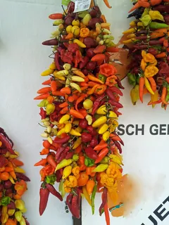 辣椒，香料，辣椒，莎莎酱，蔬菜，食品，食品和饮料，文本