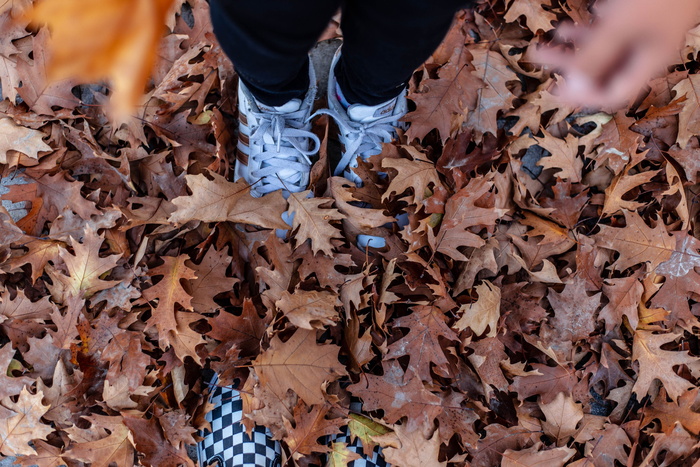 秋天壁纸，秋天的叶子，秋天，叶子，植物部分，秋天，叶子，一个人
