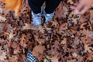 秋天壁纸，秋天的叶子，秋天，叶子，植物部分，秋天，叶子，一个人