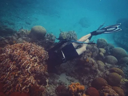 个人水肺潜水，自然，景观，海洋，海洋，海滩，度假，旅游