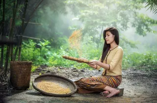 女士，穿着，白色，长袖，衬衫，棕色，黄色，裙子