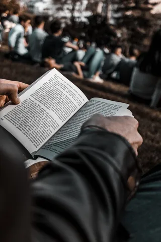 人，人，阅读，书，博克，专注，冥想，休息